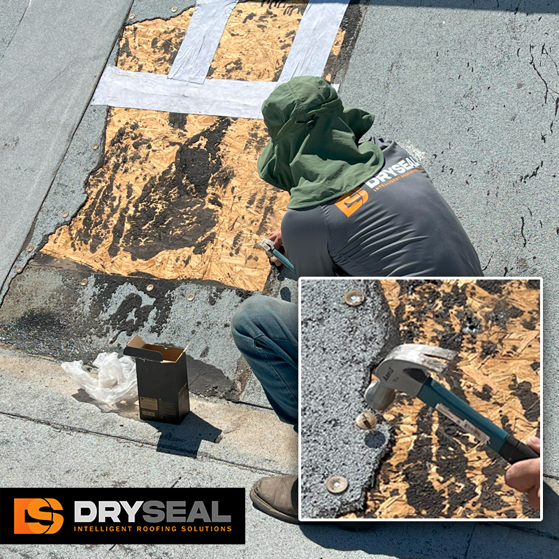 DrySeal Roof Restoration