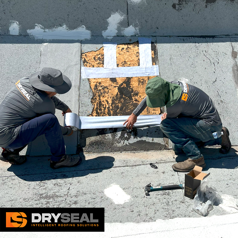 dryseal roof restoration